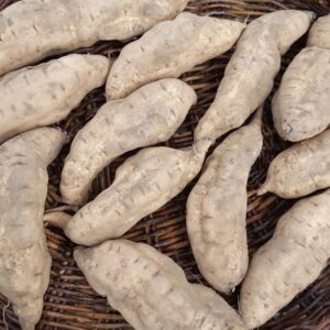 20230804_141414 Rekamaroa reduced