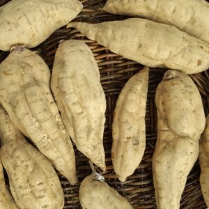 20230804_142259 Taputini reduced