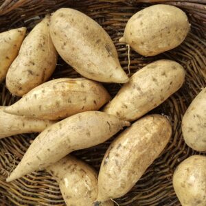 20230804_142507 Honey Red reduced