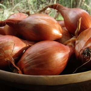 Shallots (250 grams)