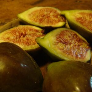Black Fig Cutting